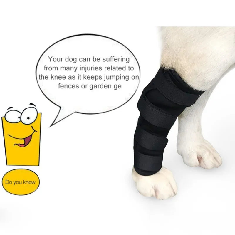 Dog Leg and Knee Pads – Recovery Bandage and Joint Protector for Wounds and Arthritis