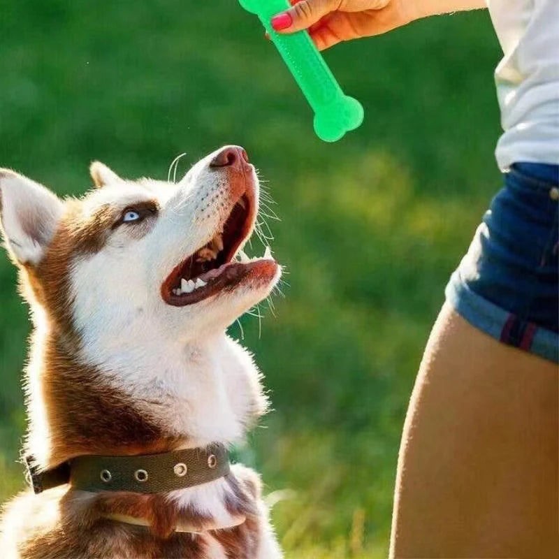 Rubber Bone Toy Aggressive Dog Chewers