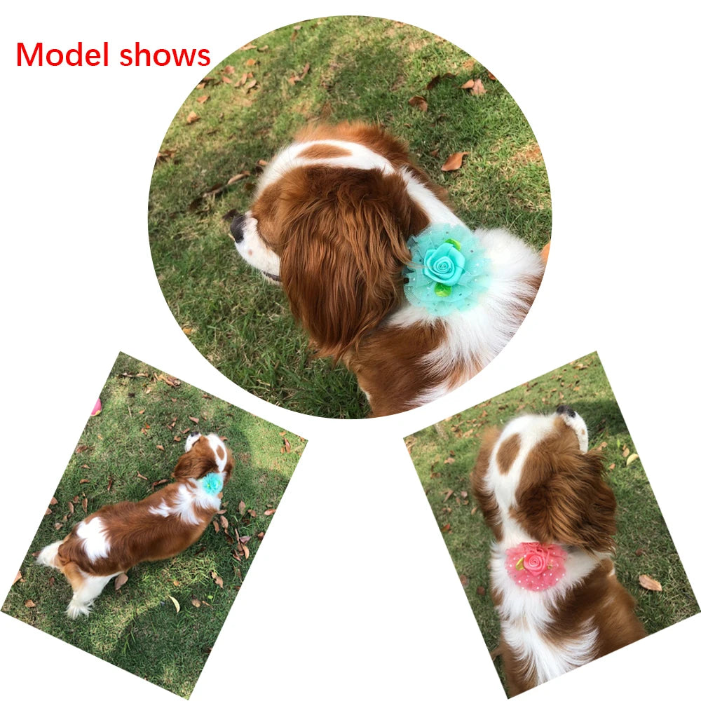 20pcs Valentine’s Day Pet Bowties and Neckties – Lace Rose Love Style Accessories for Dogs and Cats