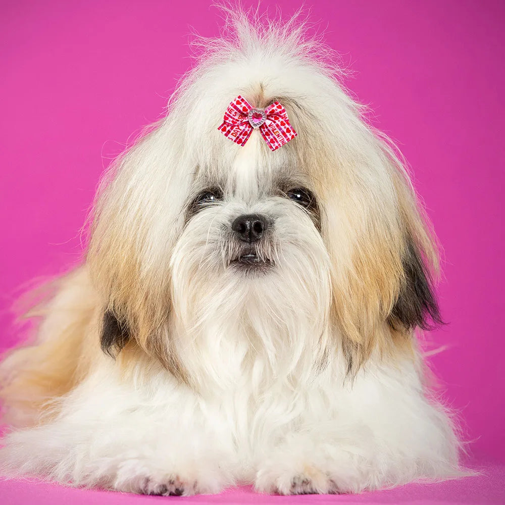 20PCS Valentine’s Day Dog Bows – Red and Pink Hair Bow Accessories for Dogs and Cats