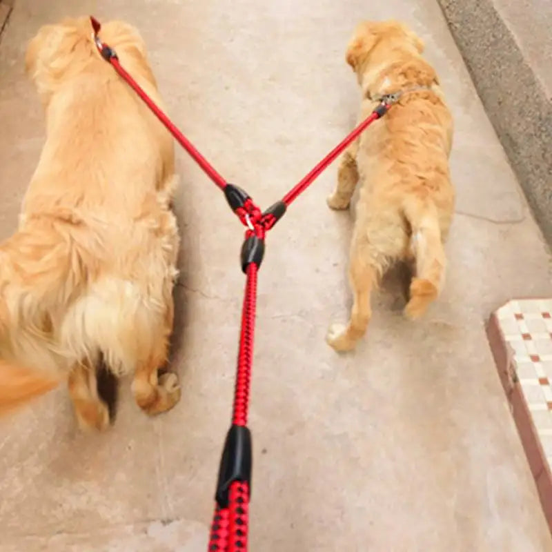 2-Way Elastic Double Dog Leash (1.4m)