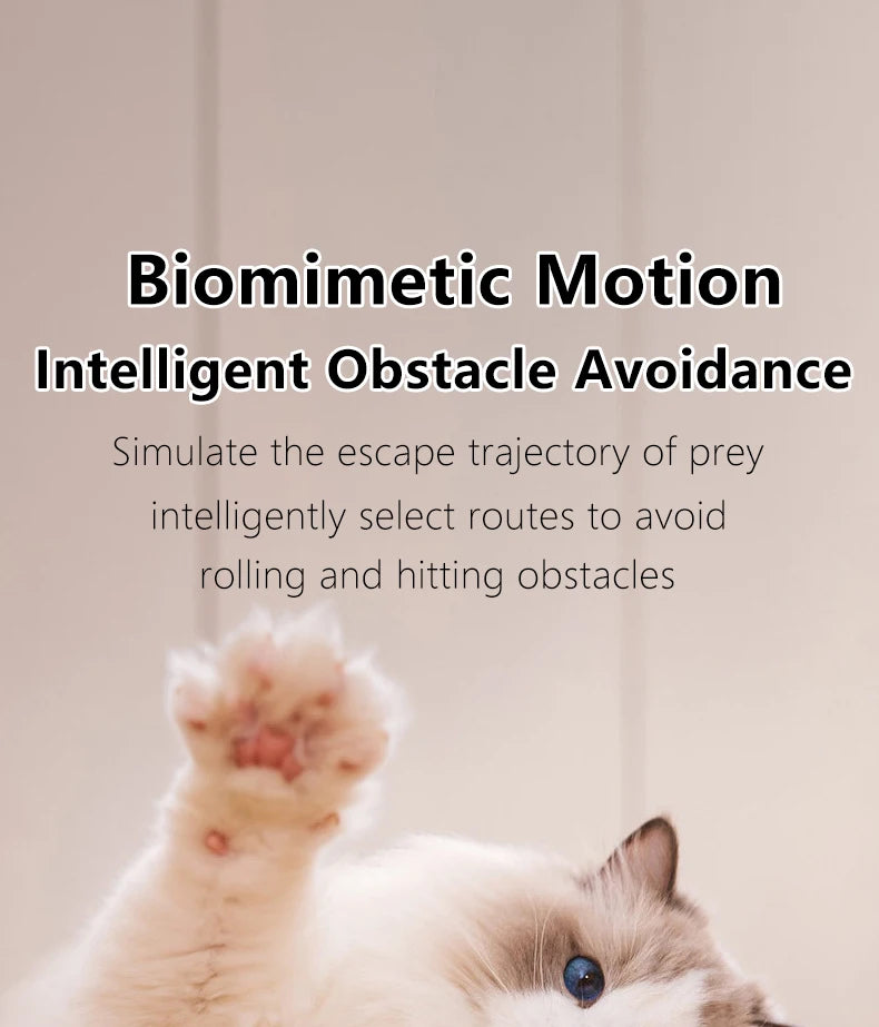 Smart Interactive Rolling Ball for Cats