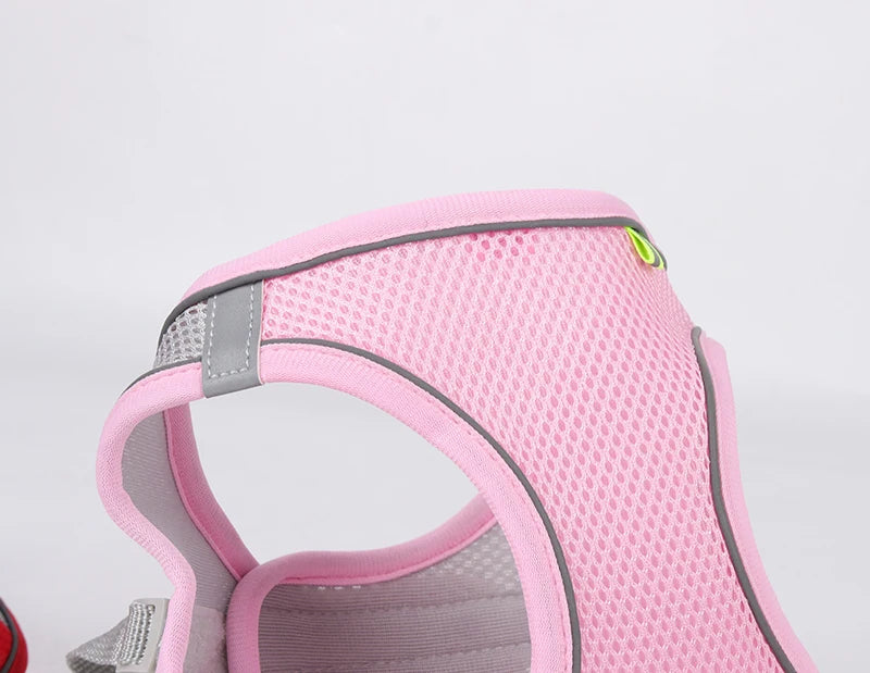Product Description: Adjustable Dog Harness & Leash Set for Small Dogs