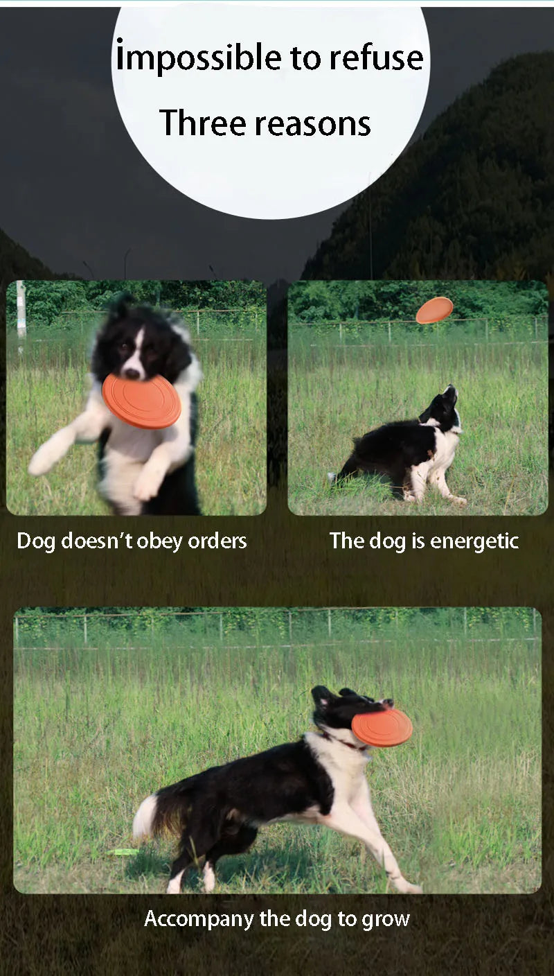 Silicone Flying Saucer Toy for Dogs