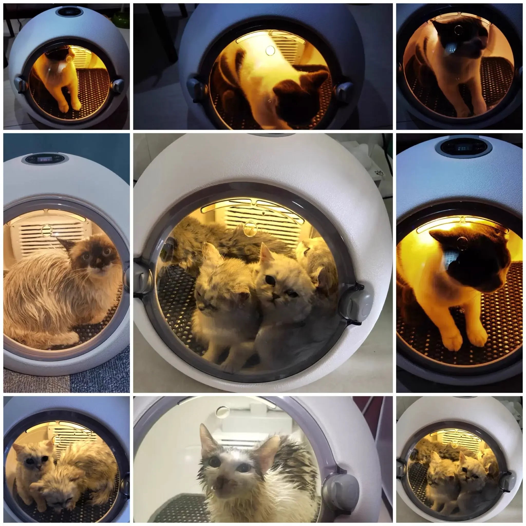 Smart Pet Drying Box – The Ultimate Silent Dryer
