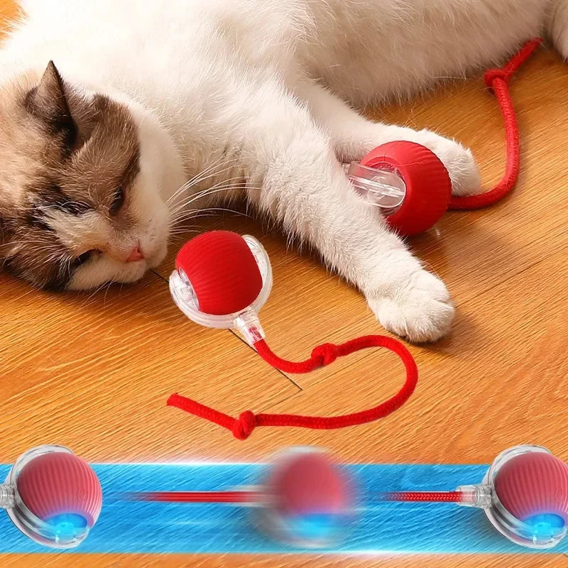 USB Rechargeable Interactive Rolling Cat Toy Ball