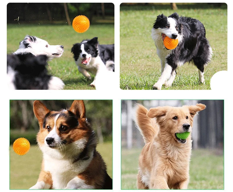 Squeaky Spiked TPR Chewing Ball for Pets