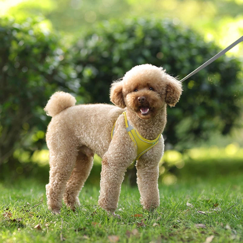 Product Description: Adjustable Dog Harness & Leash Set for Small Dogs