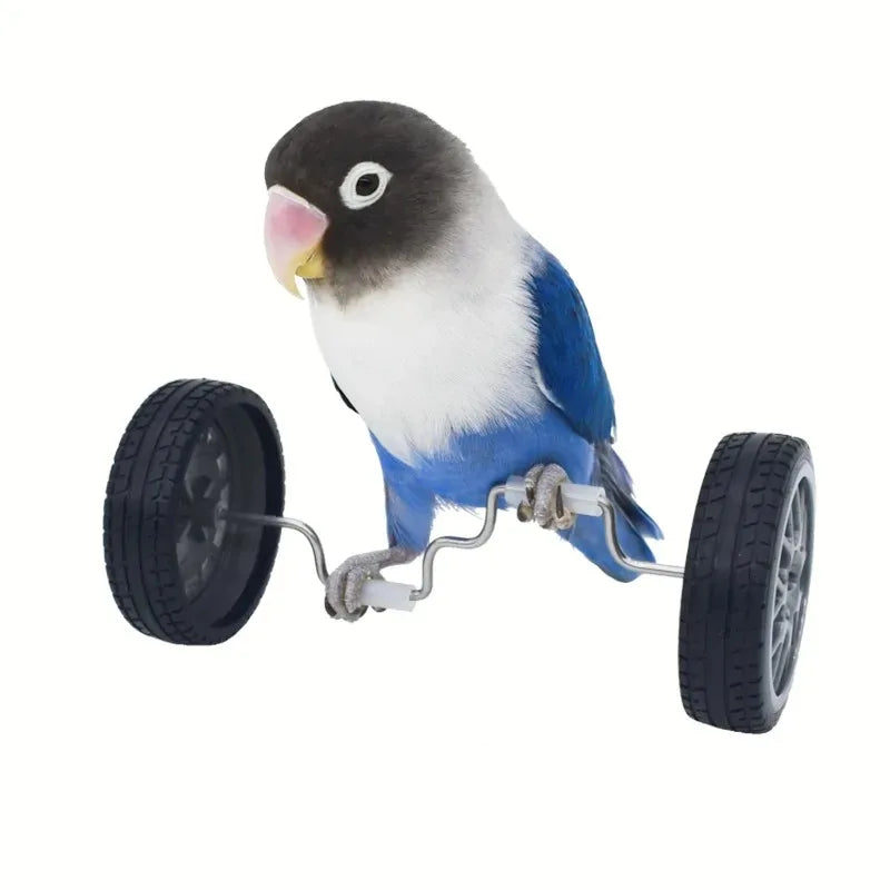 Creative Parrot Balance Toy