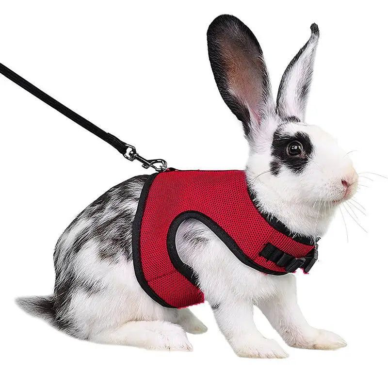 Mutil-Colors Breathable Stylish Vest Small Pet Carrier
