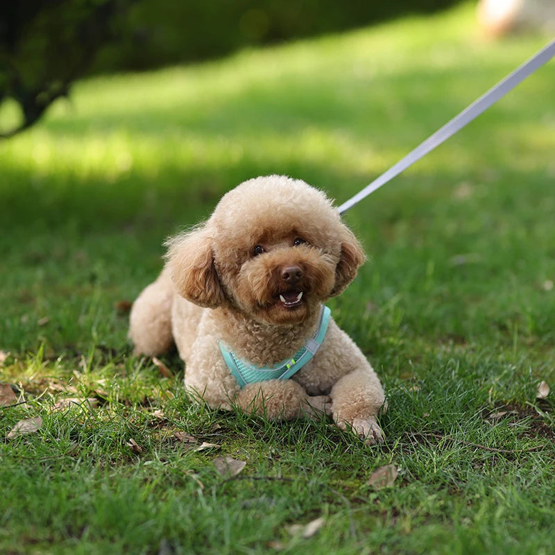 Product Description: Adjustable Dog Harness & Leash Set for Small Dogs