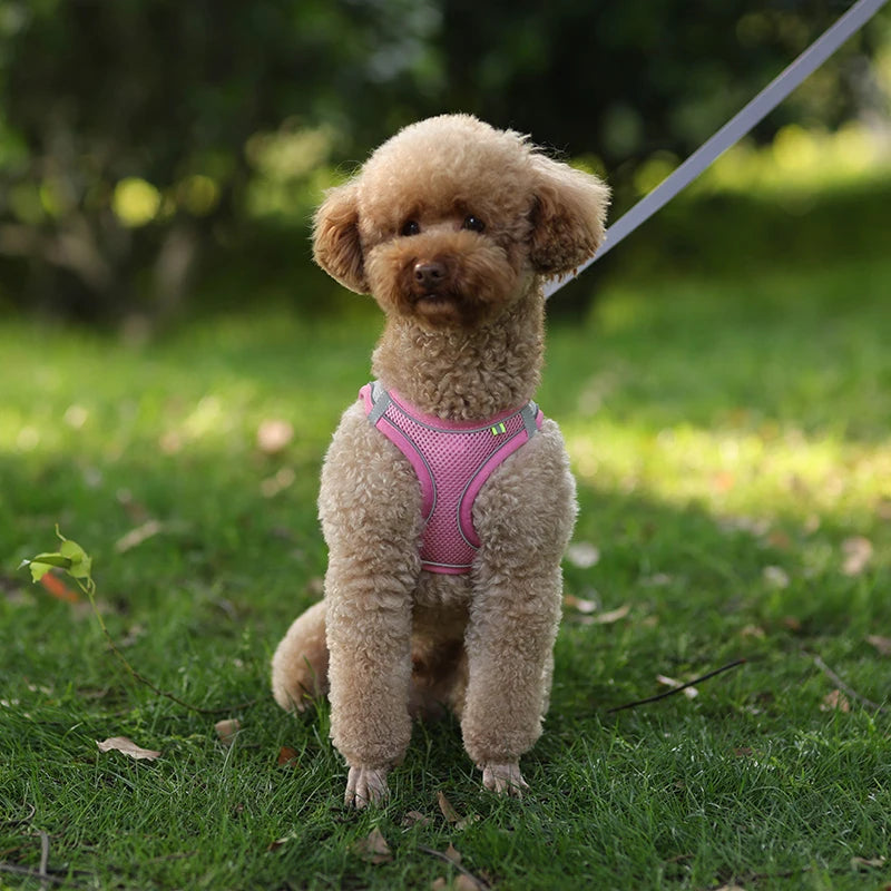 Product Description: Adjustable Dog Harness & Leash Set for Small Dogs