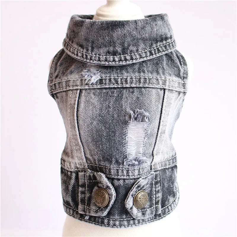 Jeans Jacket for small medium dogs