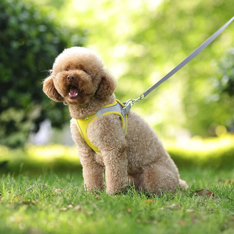 Product Description: Adjustable Dog Harness & Leash Set for Small Dogs