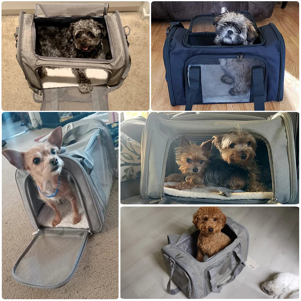 Airline-Approved Soft-Sided Dog Carrier Backpack