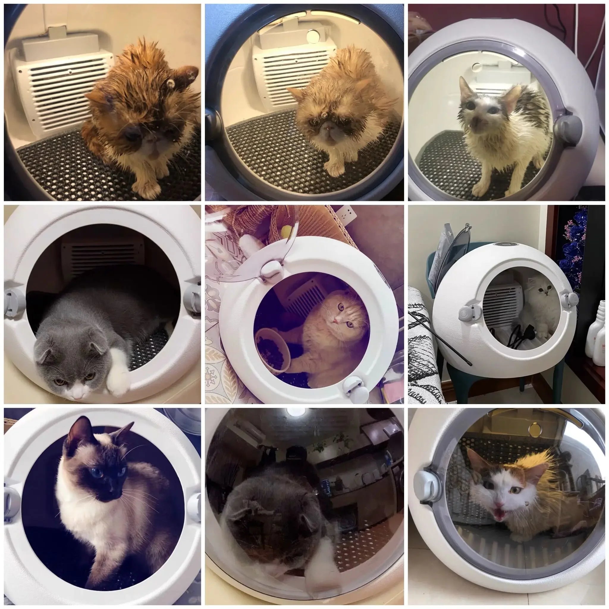 Smart Pet Drying Box – The Ultimate Silent Dryer