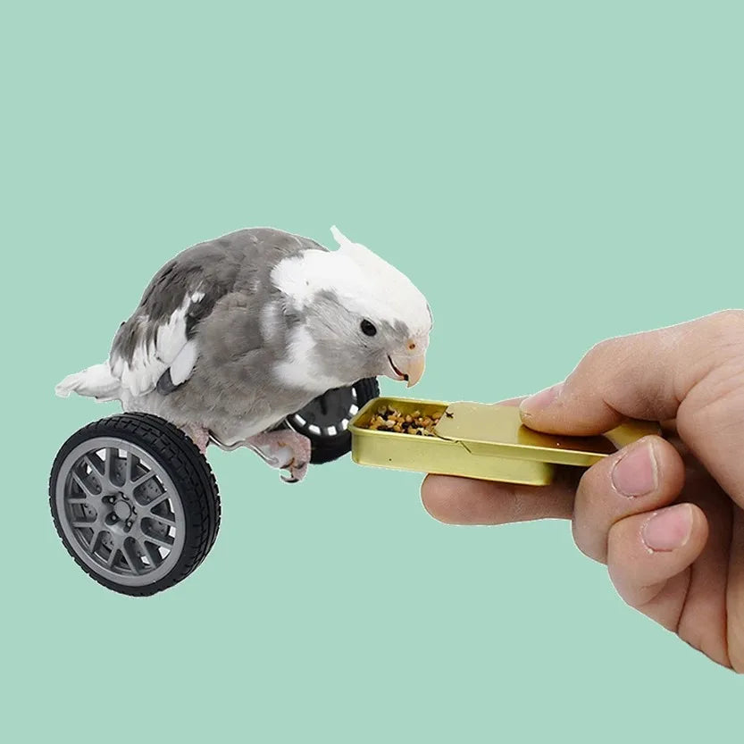 Creative Parrot Balance Toy