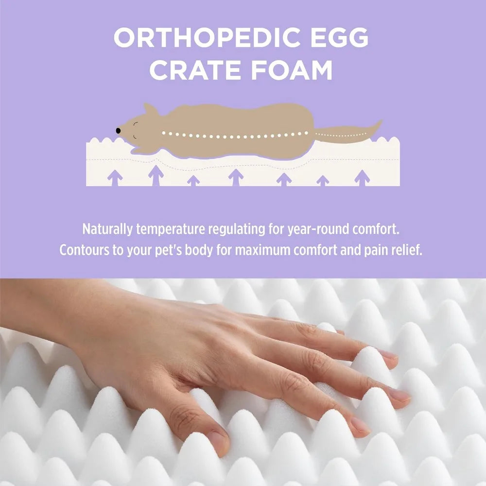 Calming Human Size Dog Bed with Egg Foam