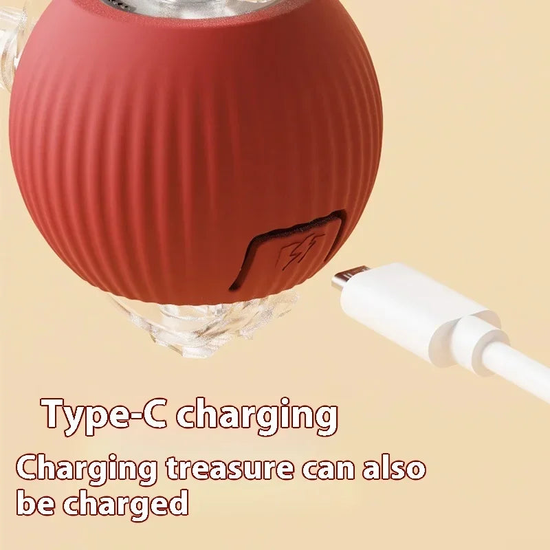 USB Rechargeable Interactive Rolling Cat Toy Ball