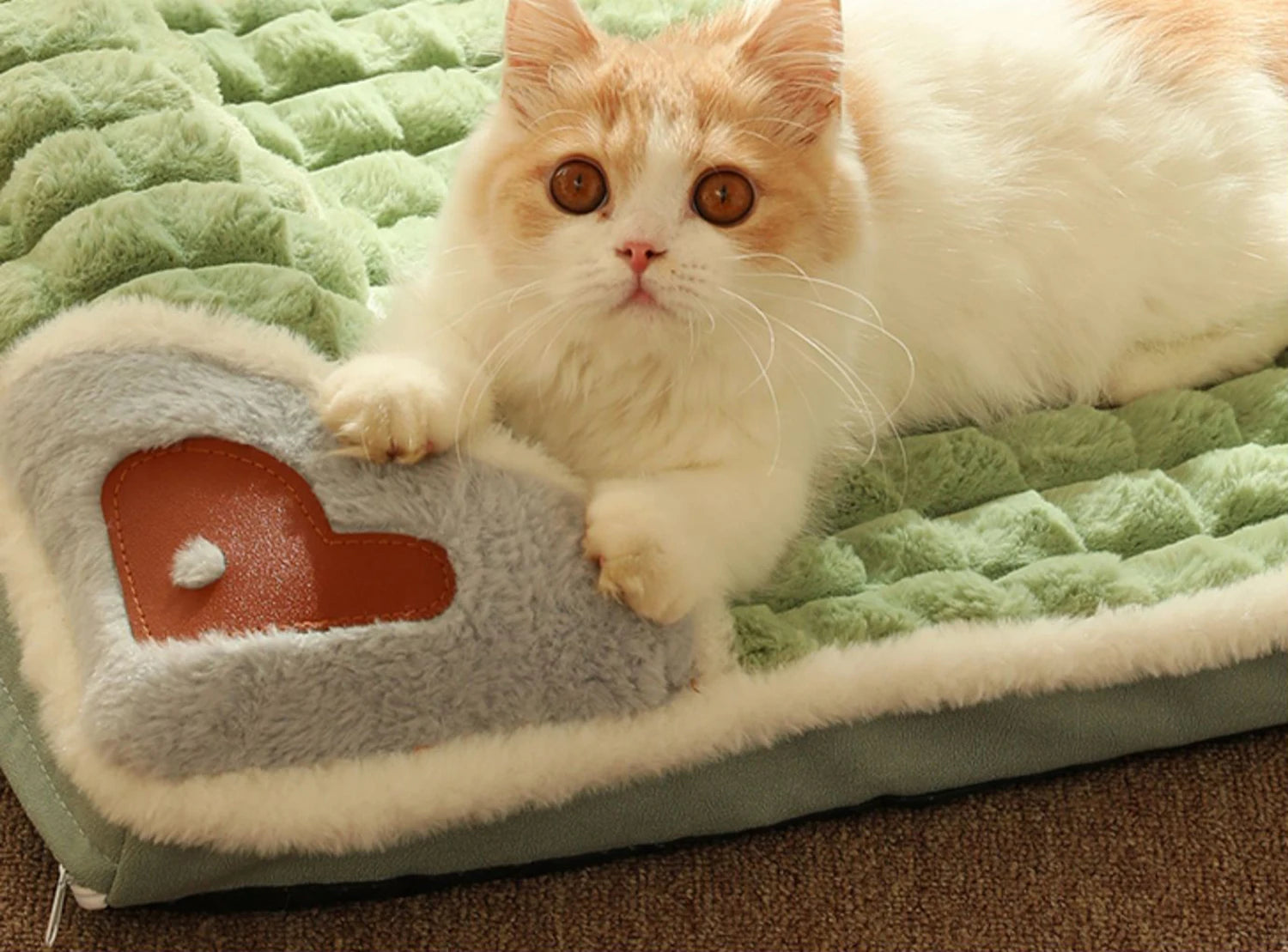 MADDEN Winter Warm Dog Mat & Luxury Pet Sofa