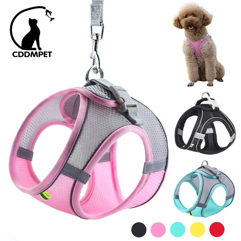 Product Description: Adjustable Dog Harness & Leash Set for Small Dogs