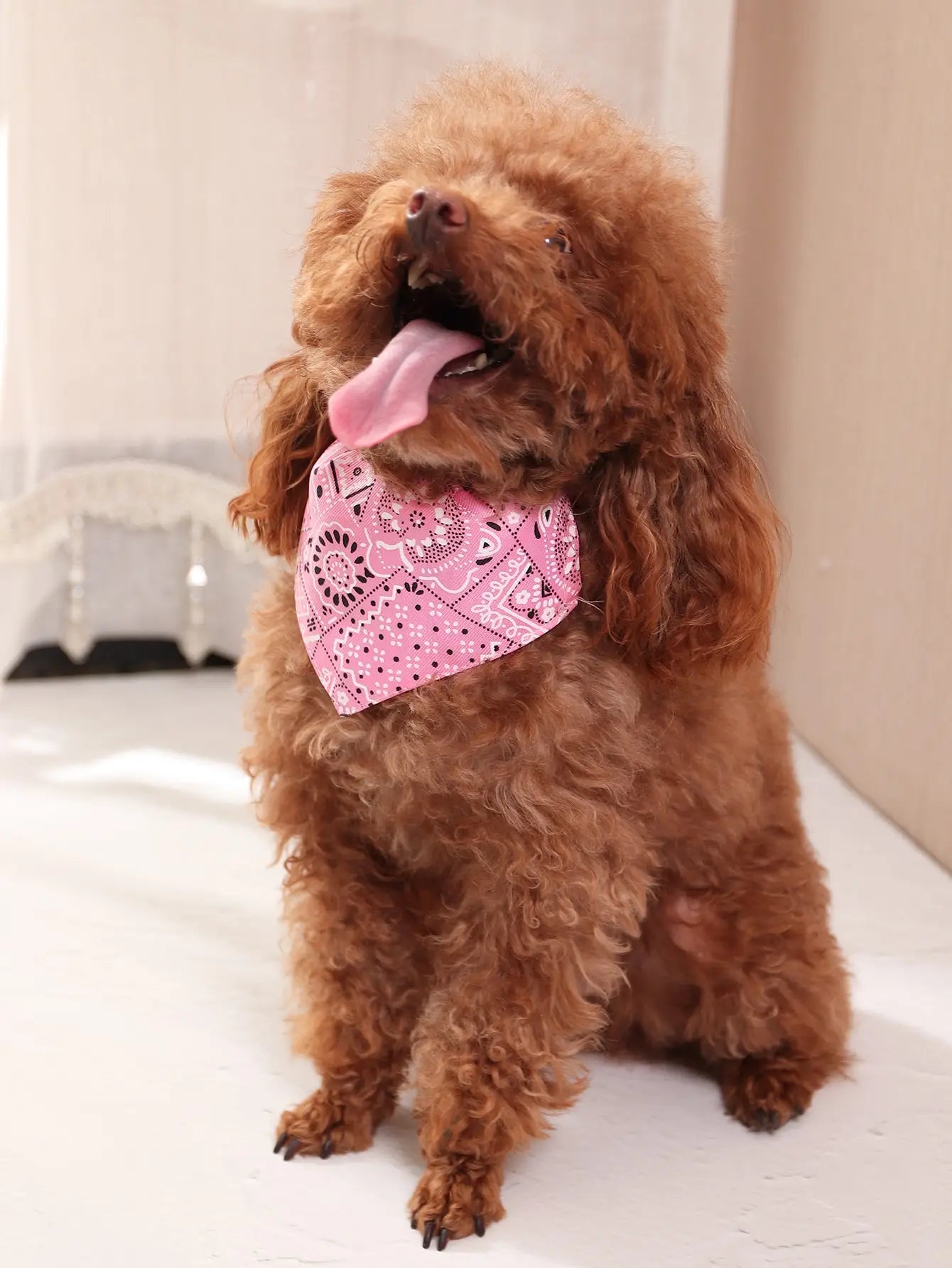 Pink Color Random Pattern Pet Bandana