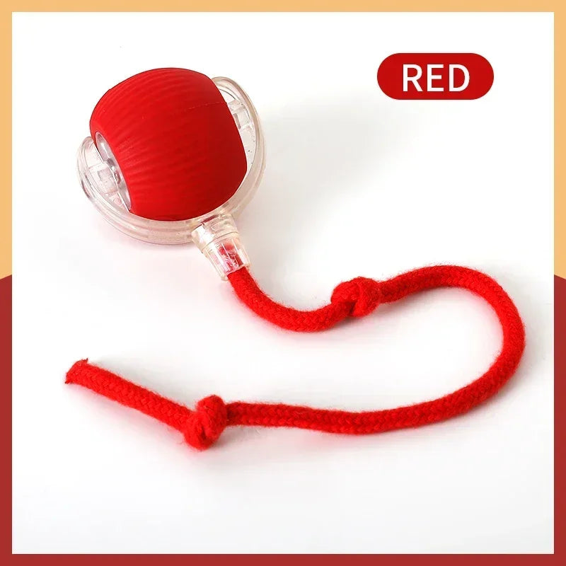 Automatic Interactive Ball Toys