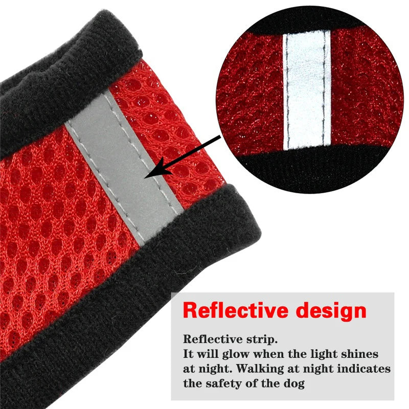 Adjustable Cat & Dog Harness Vest with Traction Rope Set