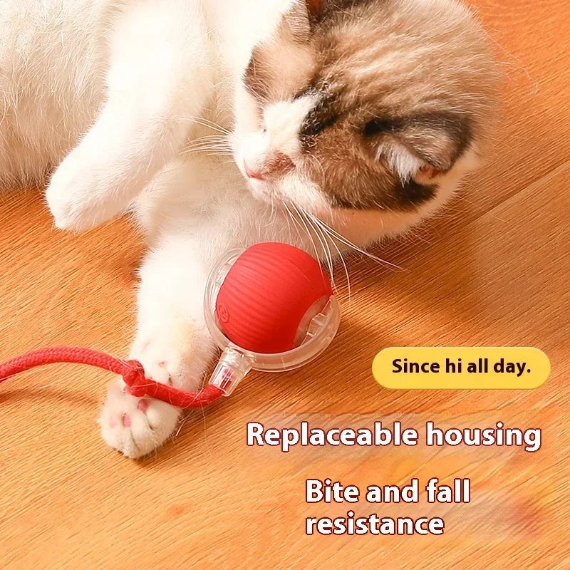 USB Rechargeable Interactive Rolling Cat Toy Ball