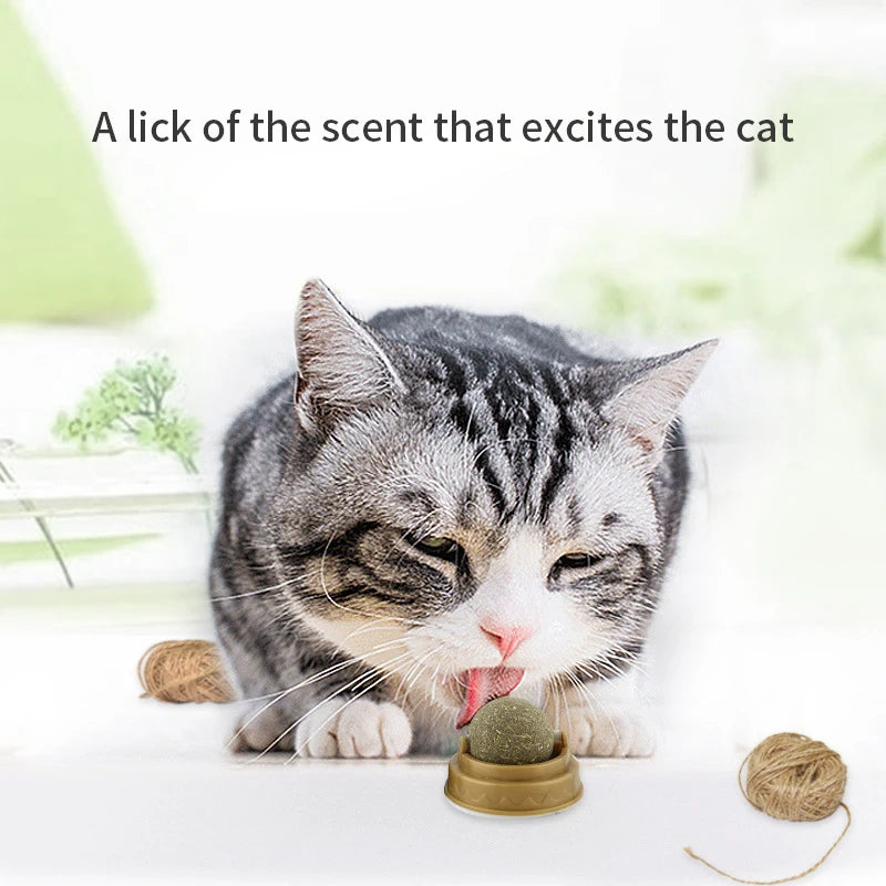Natural Catnip Wall-Mounted Cat Ball