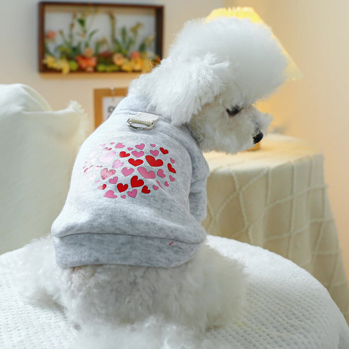 1PC Pet Clothing Dog Cat Valentine's Day Red Love Coat with Drawstring Buckle, Suitable for Small and Medium sized Dogs