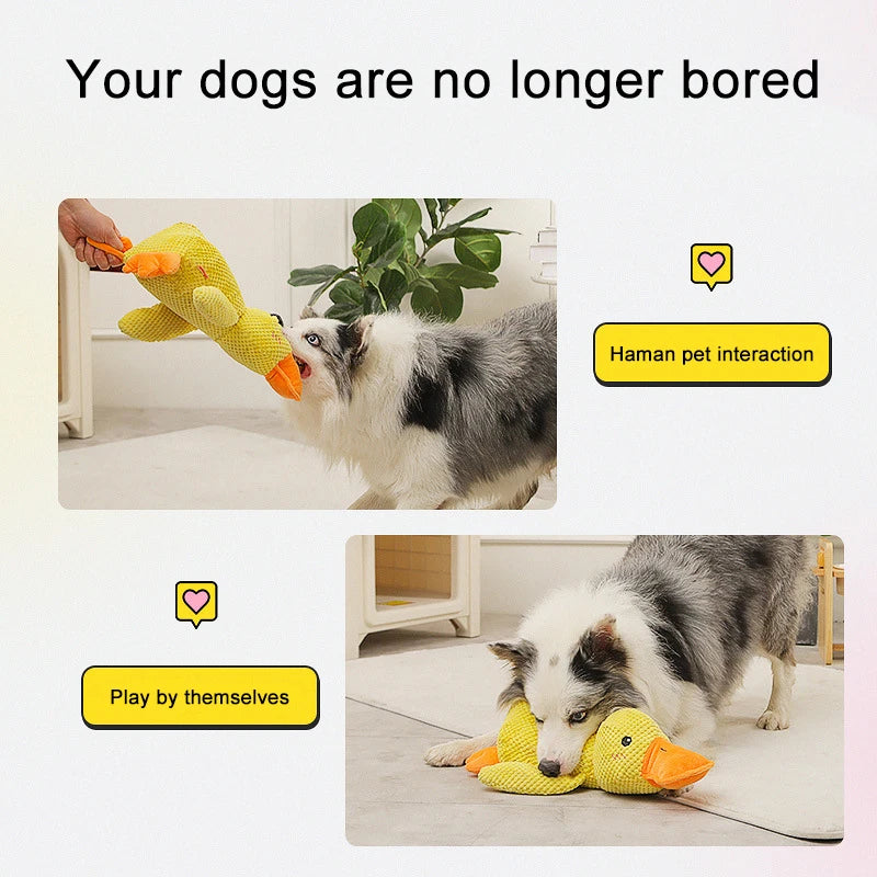Duck-Shaped Quacking Dog Toy – Durable Chew Toy for Fun Interactive Play