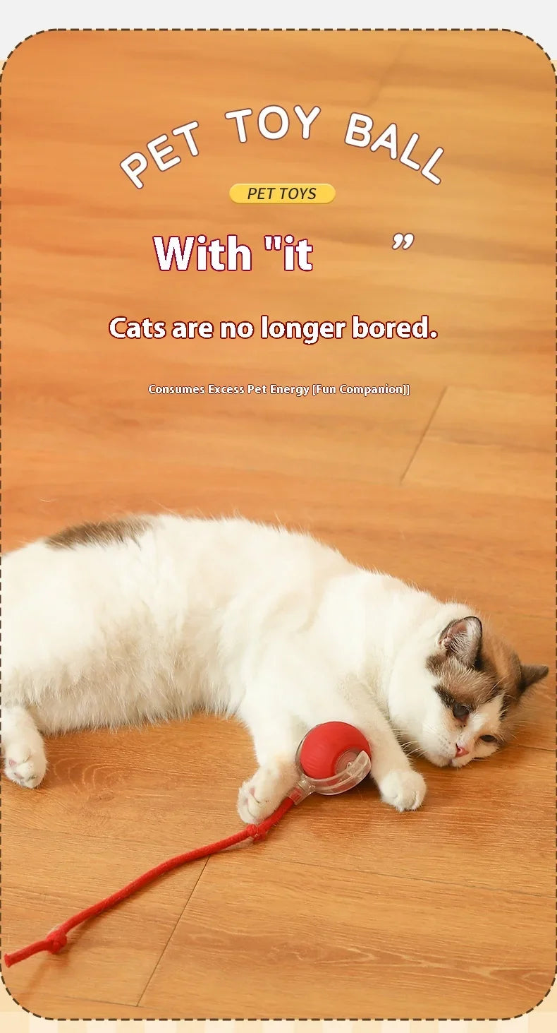 USB Rechargeable Interactive Rolling Cat Toy Ball