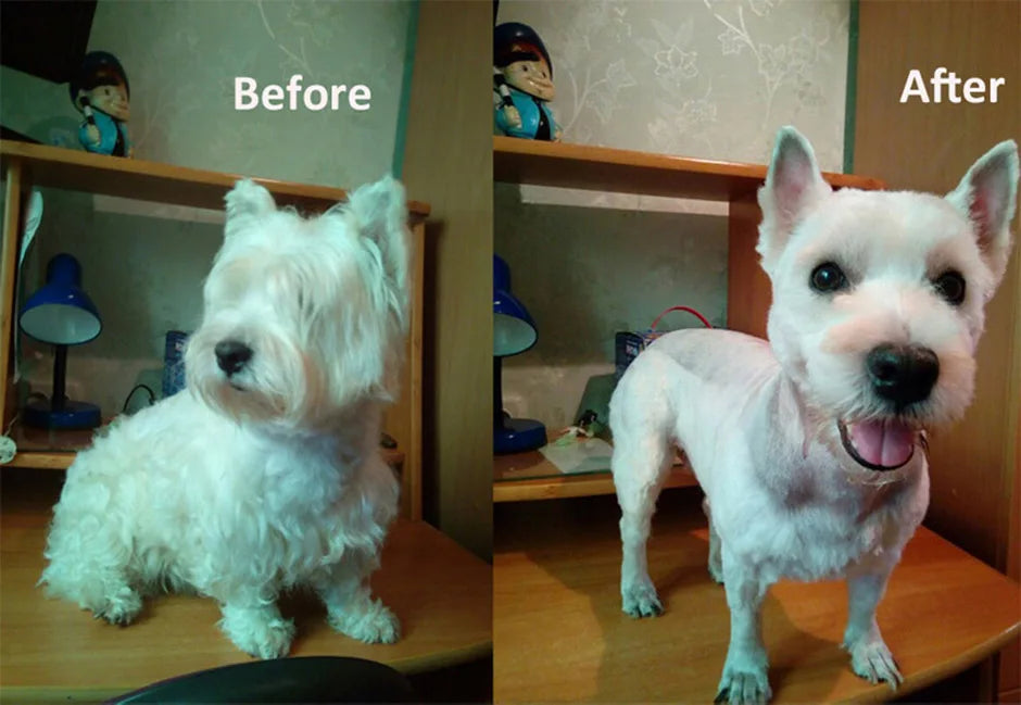 Professional All-Metal Rechargeable Dog Hair Clipper