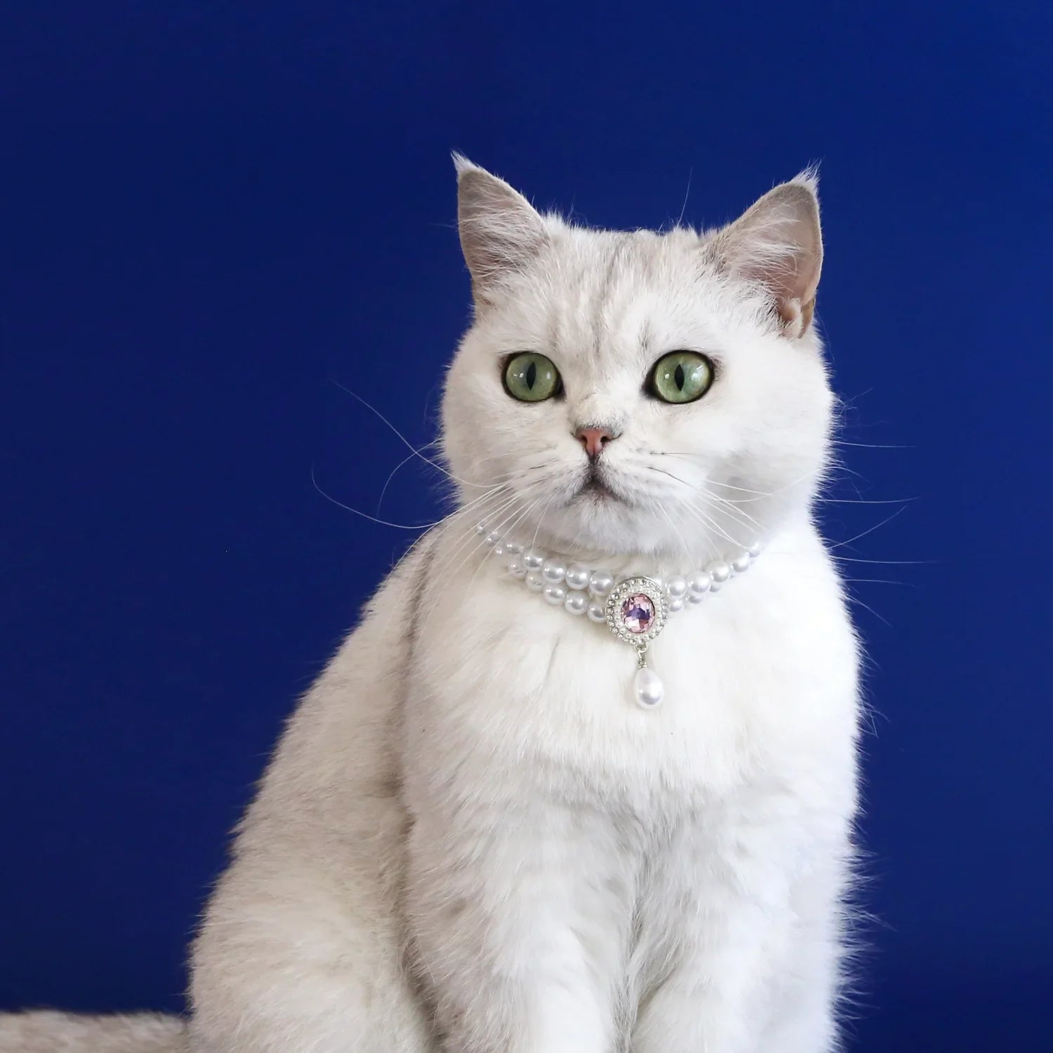 Adjustable Pet Pearl Necklace Jewelry Diamond Pendant