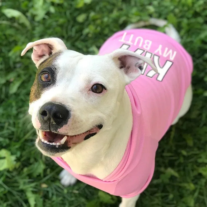 Velvet Warm Dog Hoodie – Cozy Sweaters for Large, Medium, and Small Dogs